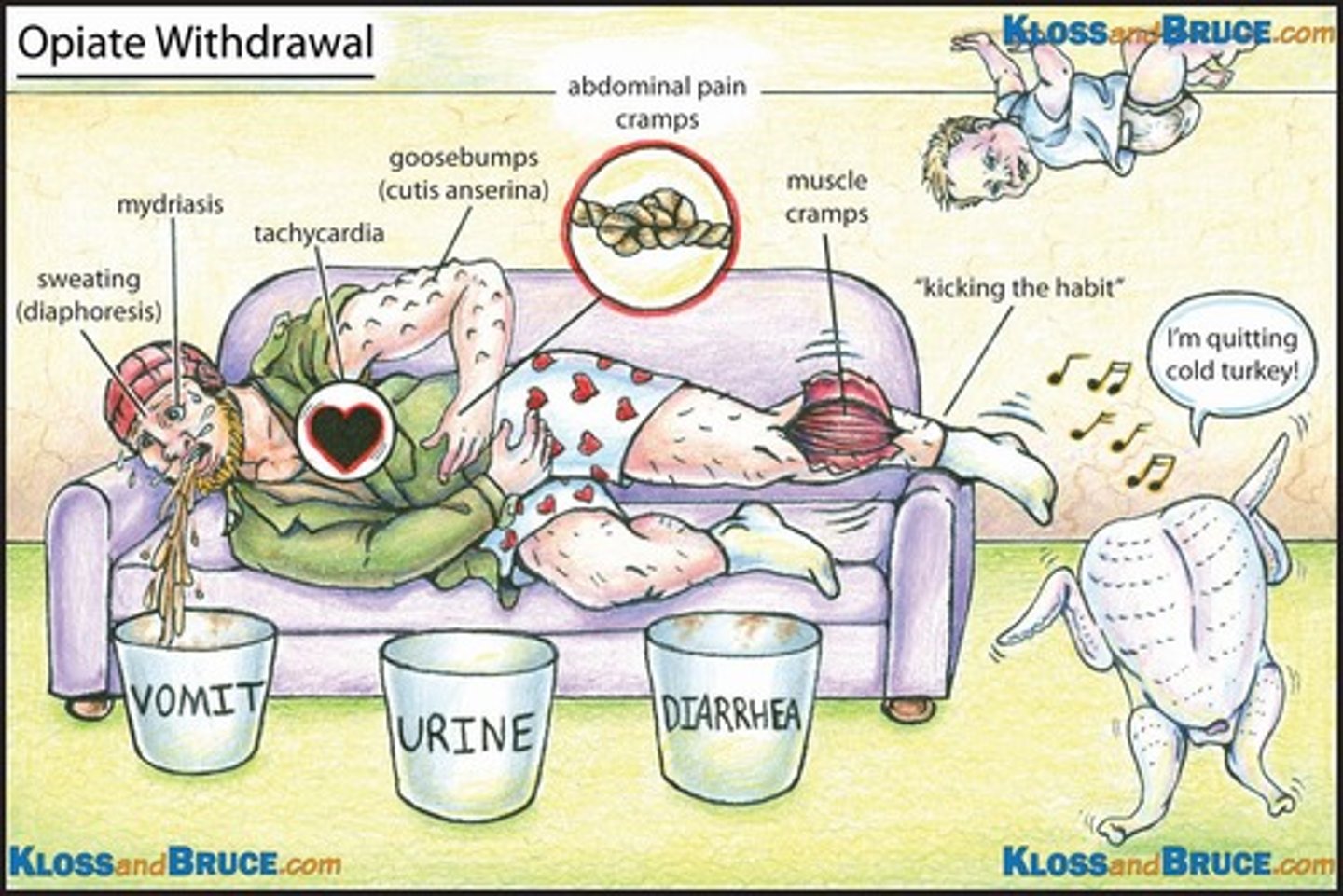 <p>- irritability</p><p>- restlessness</p><p>- anxiety</p><p>- insomnia</p><p>- cravings</p><p>- pupil dilation</p><p>- lacrimation (crying)</p><p>- rhinorrhea</p><p>- yawning</p><p>- tachycardia</p><p>- HTN</p><p>- abdominal cramping</p><p>- N/V/D</p><p>- muscle and bone pain</p><p>- piloerection</p><p>- diaphoresis</p>