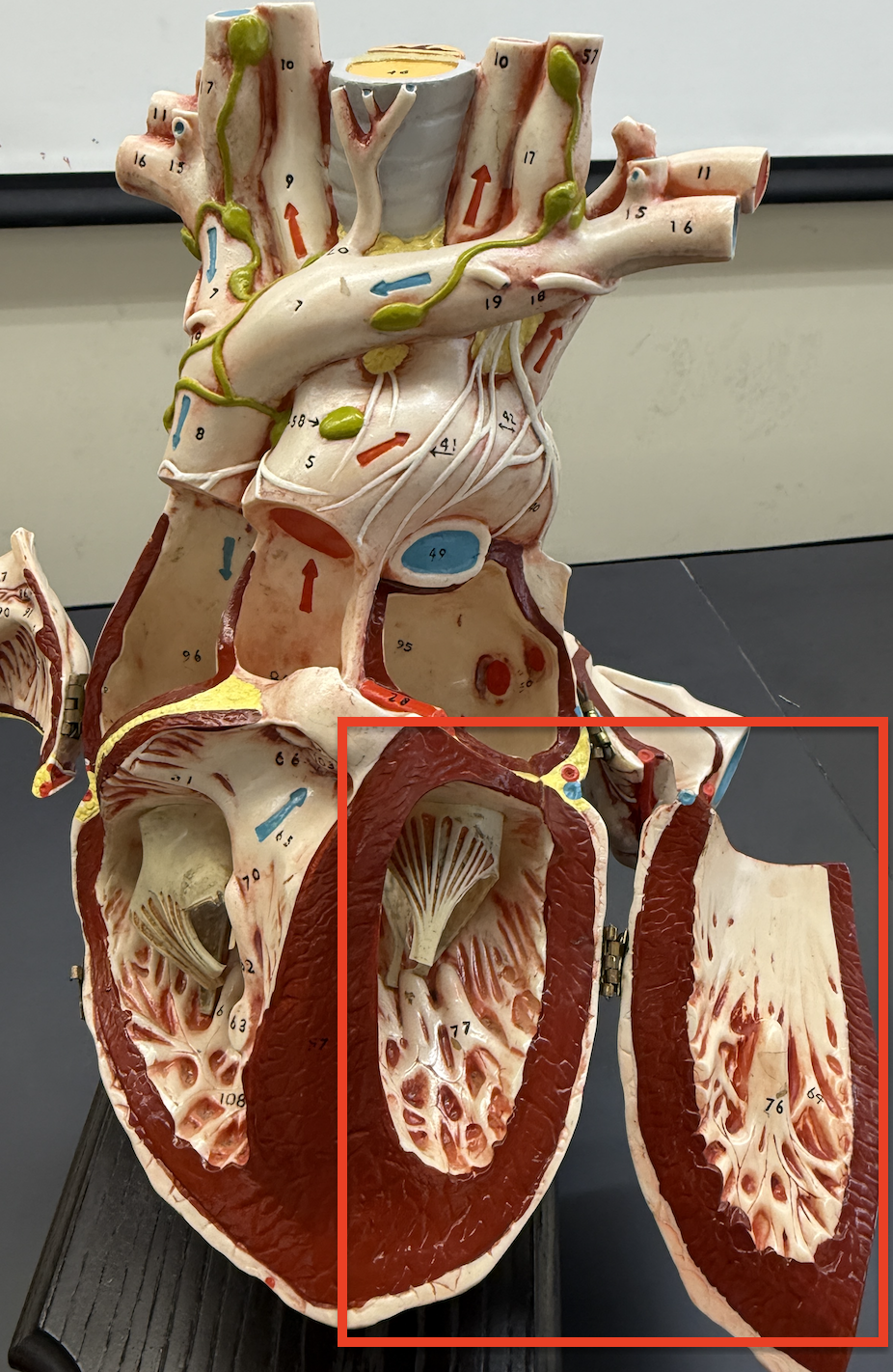term image