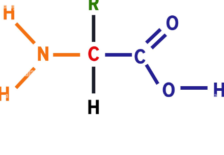 <p>What macro molecule is this?</p>