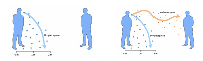 <p><strong>Endógena</strong></p><ul><li><p>Infecciones de nuestra propia microbiota </p><ul><li><p>ej: peritonitis debido a la perforación del apéndice en una apendicitis</p></li></ul></li></ul><p><strong>Exógena</strong></p><ul><li><p>Cuando la transmisión viene de fuera</p></li></ul><p></p>