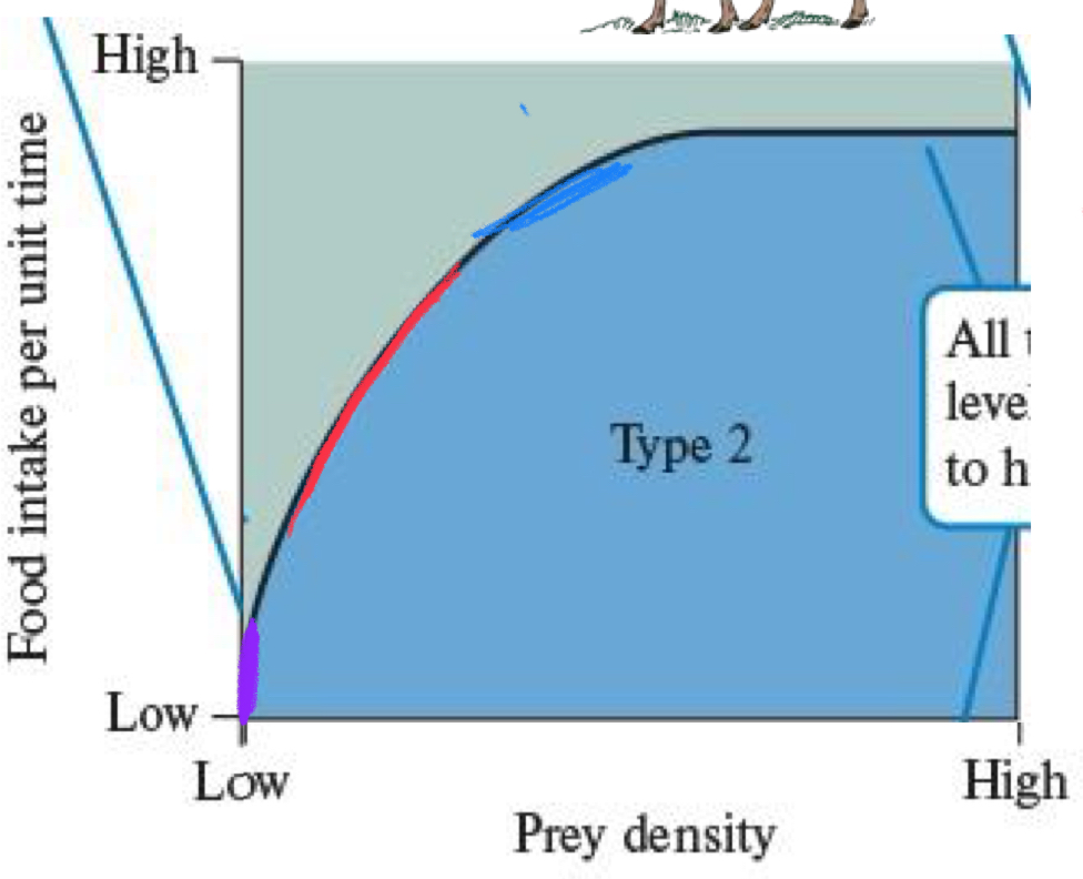 <p>*****Why is the Type 2 Curve Hyperbolic/CURVED?</p>