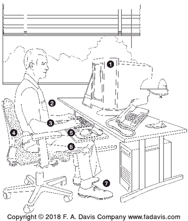 <p><span>´1 – computer monitor top should be slightly below eye level</span></p><p><span>´2 – body centered in front of the monitor and keyboard</span></p><p><span>´3 – forearms level or tilted up slightly</span></p><p><span>´4 – lower back supported by the chair</span></p><p><span>´5 – wrists free while typing</span></p><p><span>´6 – thighs horizontal</span></p><p><span>´7 – feet flat on the floor</span></p>