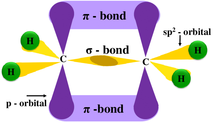 <p>one s orbital and 2 p orbitals are combined to form three hybrid orbitals</p><ul><li><p>120 degrees</p></li><li><p>Ch2=CH2</p></li><li><p>triagonally</p></li></ul><p></p>
