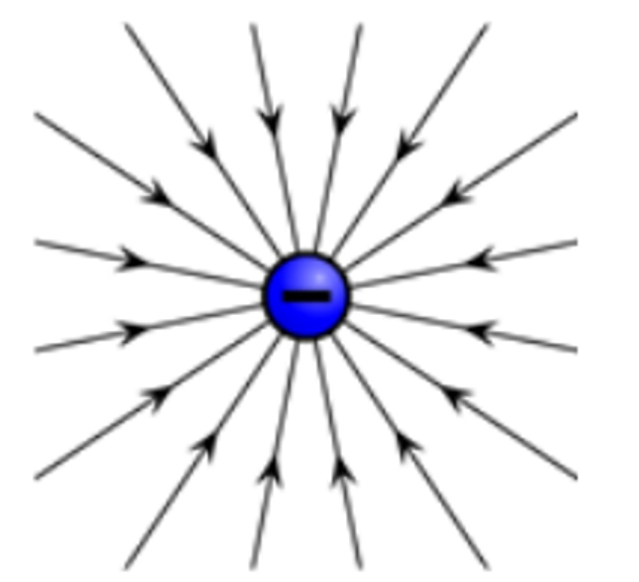 <p>They point inwards as a negative charge will be attracted to a positive charge:</p>