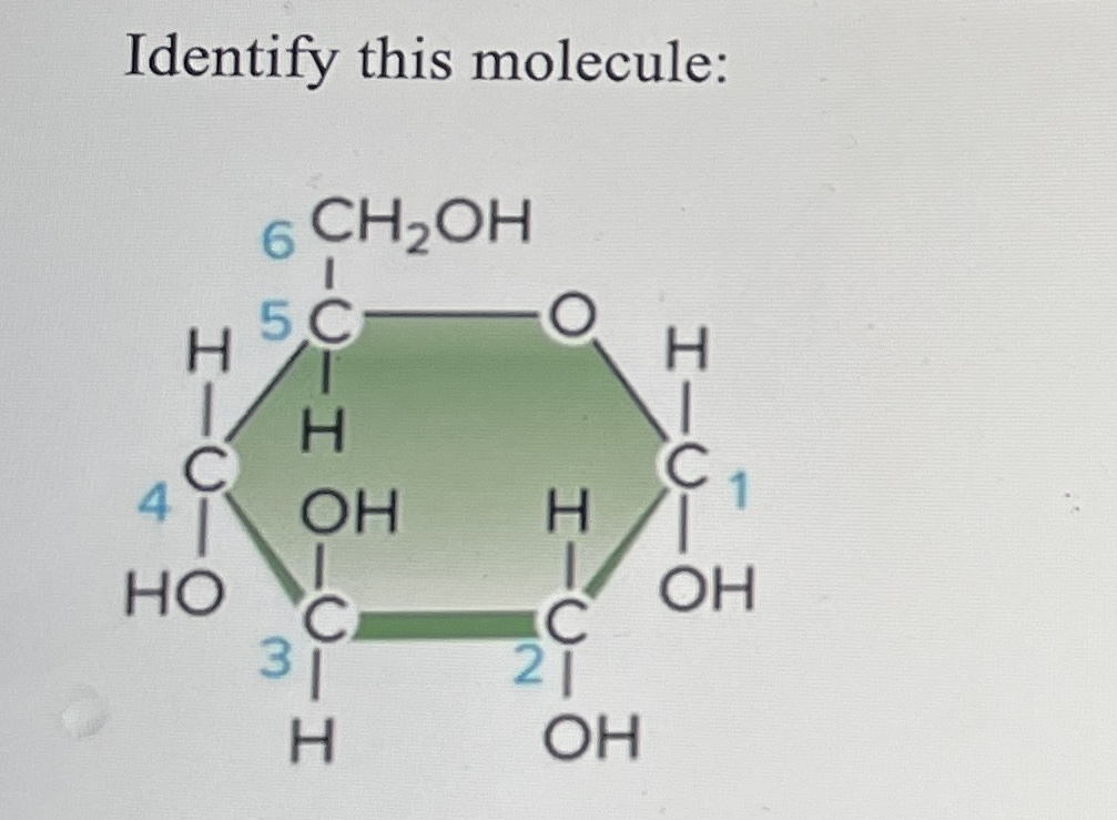 Identify this molecule 