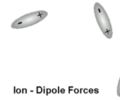 <p>Ion-Dipole Forces</p>