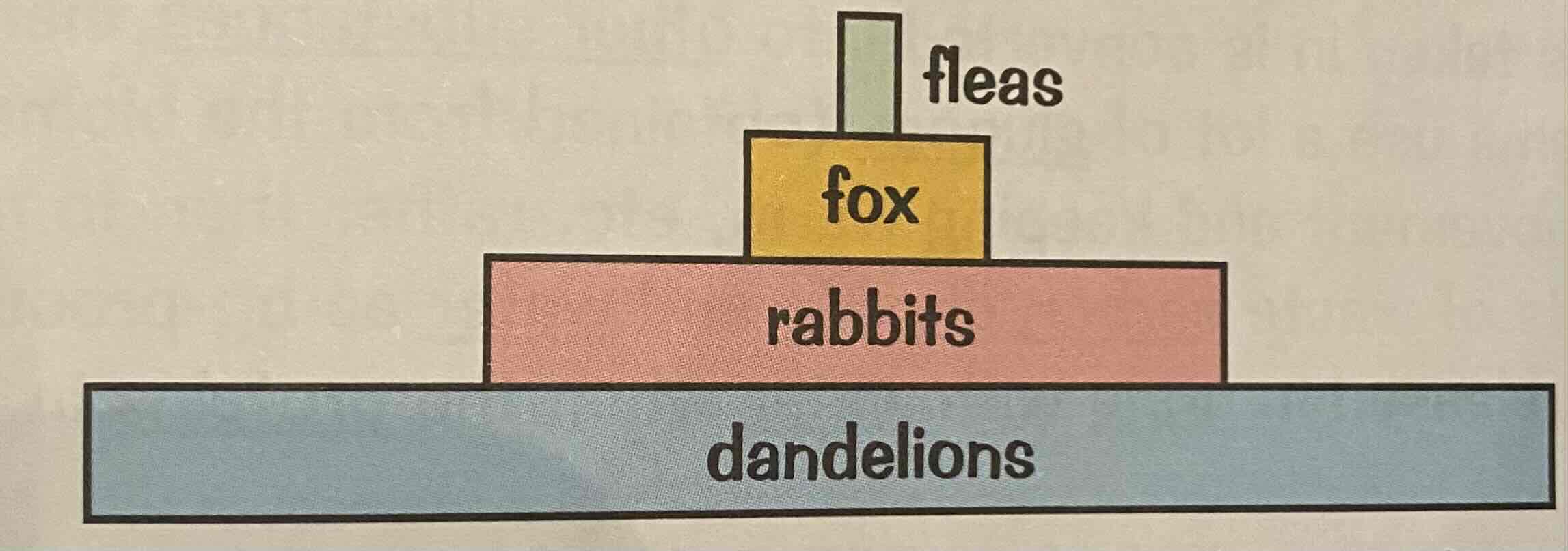 <p>Between each trophic level energy is transferred through living organisms in an ecosystem when an organism eats other Organisms</p>