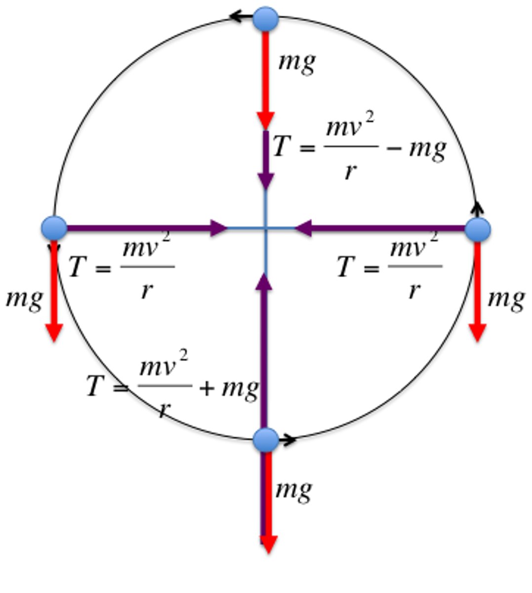 <p>Bottom has the highest tension</p><p>Top has the lowest tension</p>