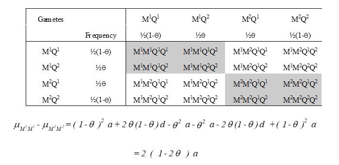 <p>M1A1/M2Q2 * M1Q1/M2Q2</p>