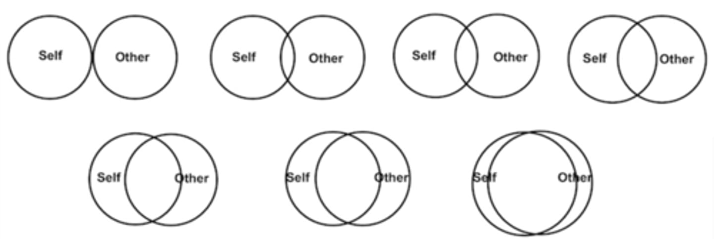 <p>similiar to incorporating groups into our identity, also do this with people we are closest to</p>