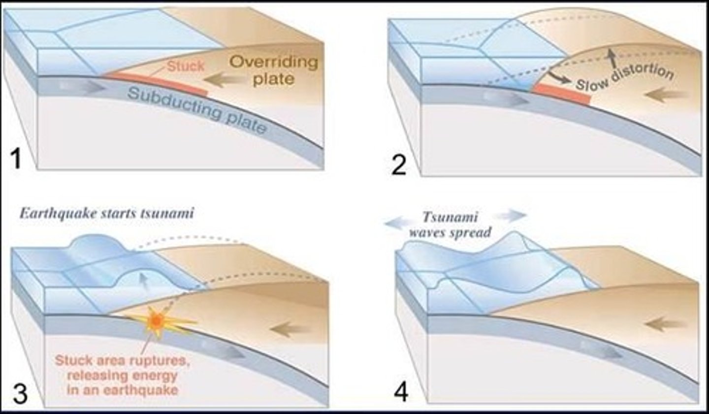 <p>The most common means of generating a tsunami is elastic rebound during a large subduction zone earthquake.</p>