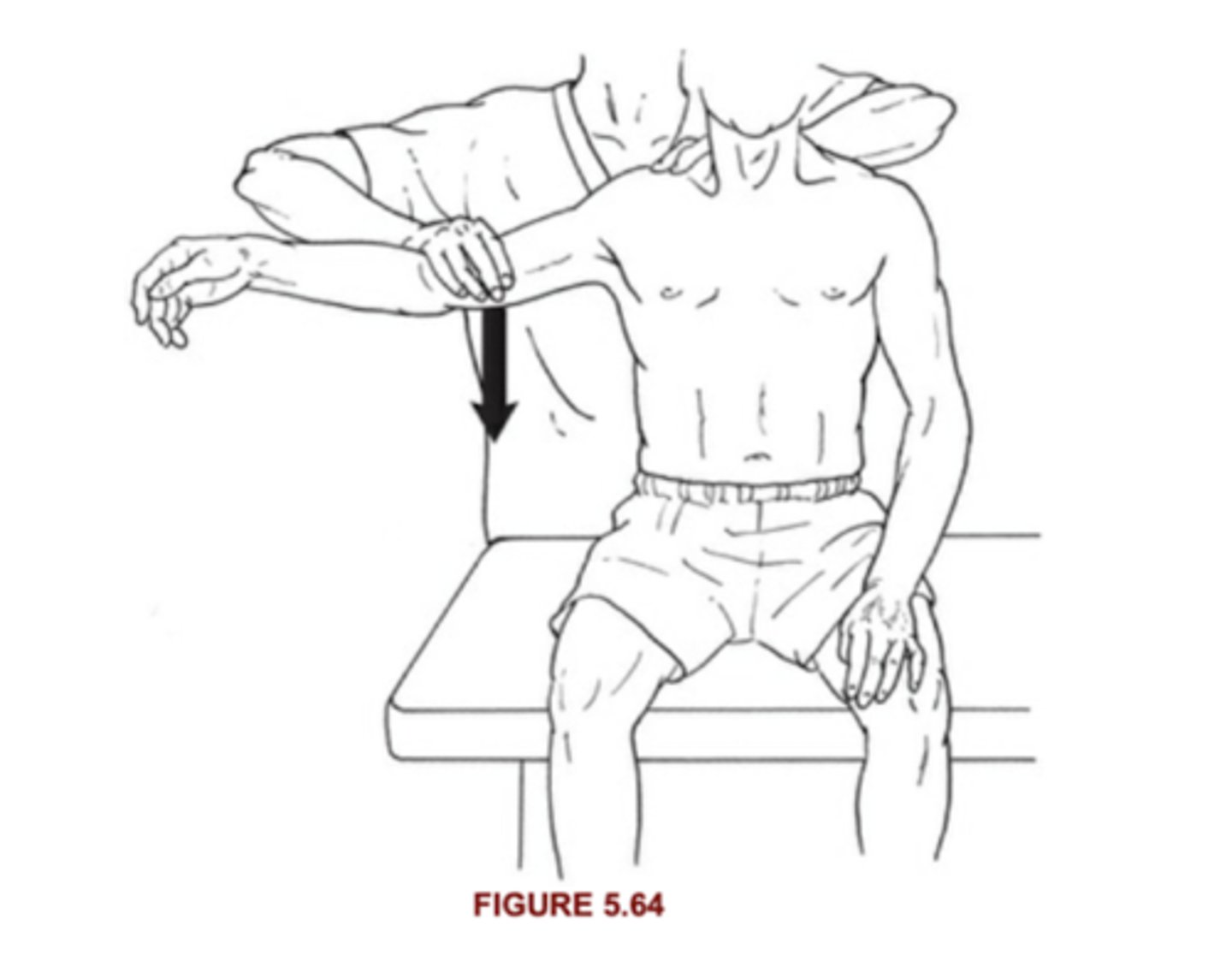 <p>5: Holds test position against maximal resistance</p><p>4: Holds test position against strong resistance</p>