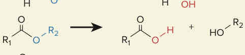 <p>La siguiente figura representa una <strong>reacción de hidrolisis</strong> implicada en el metabolismo, a que fármacos corresponde:</p>