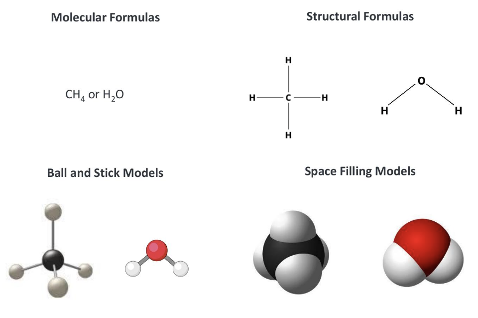 <p>molecular formulas, structural formulas, ball and stick models, and space filling models</p>