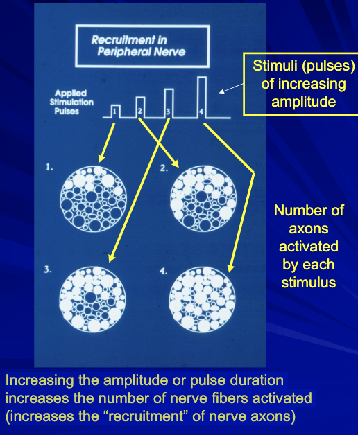 <p>How does the amplitude/or pulse duration of stimulus effect the pattern of axon activation with ES?</p>