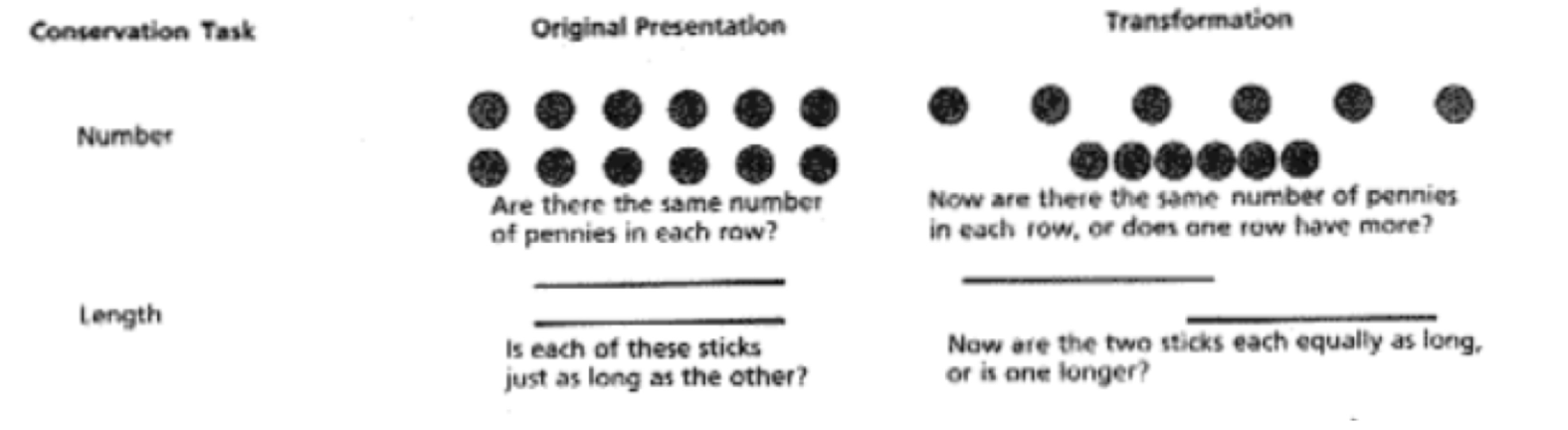 <ul><li><p><span><span>Conservation tasks: judge if the two sets of dots are of equal quantity or length</span></span></p></li><li><p><span><span>Preoperational children judge only by perceived difference → incorrect judgment on transformed stimulus</span></span></p></li></ul><p></p>
