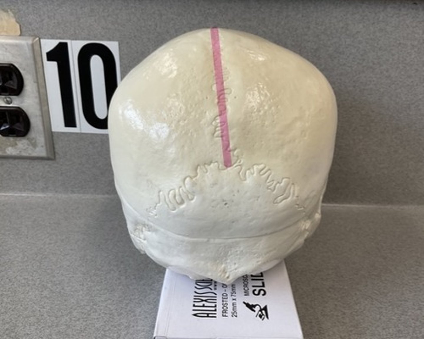 knowt flashcard image