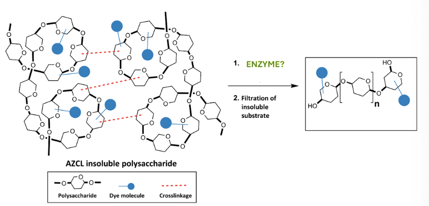 <p>Select the enzyme that catalyzes this reaction</p>