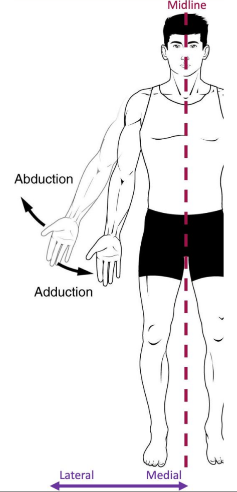<p>Movement of the limb/digit away from the midline. Occurs in the frontal plane on the anteroposterior axis. Occurs in the shoulder, digits, and hip.</p>