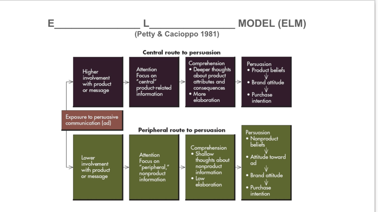 <p><strong>Two forms for how people are persuaded</strong></p><p>High involvement- pay attnetion to <strong>central product</strong>, elaboration, deep thought</p><p>low involvement- <strong>peripheral</strong>, non-product info, shallow thoughts, brand attitude</p>