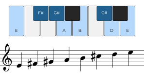 <p>What scale is this</p>