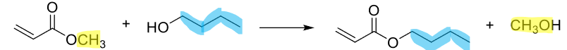 term image