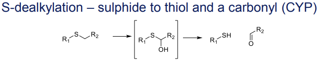 <p>S-dealkylation to thiols and a carbonyl, catalyzed by CYP"</p>