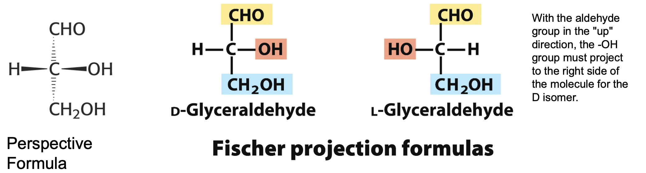 <ul><li><p>provide a clear and simple view of stereochemistry at each carbon centre</p></li><li><p>horizontal lines project out of the plan on paper</p></li><li><p>vertical lines project behind the plane of the paper</p></li></ul><p></p>