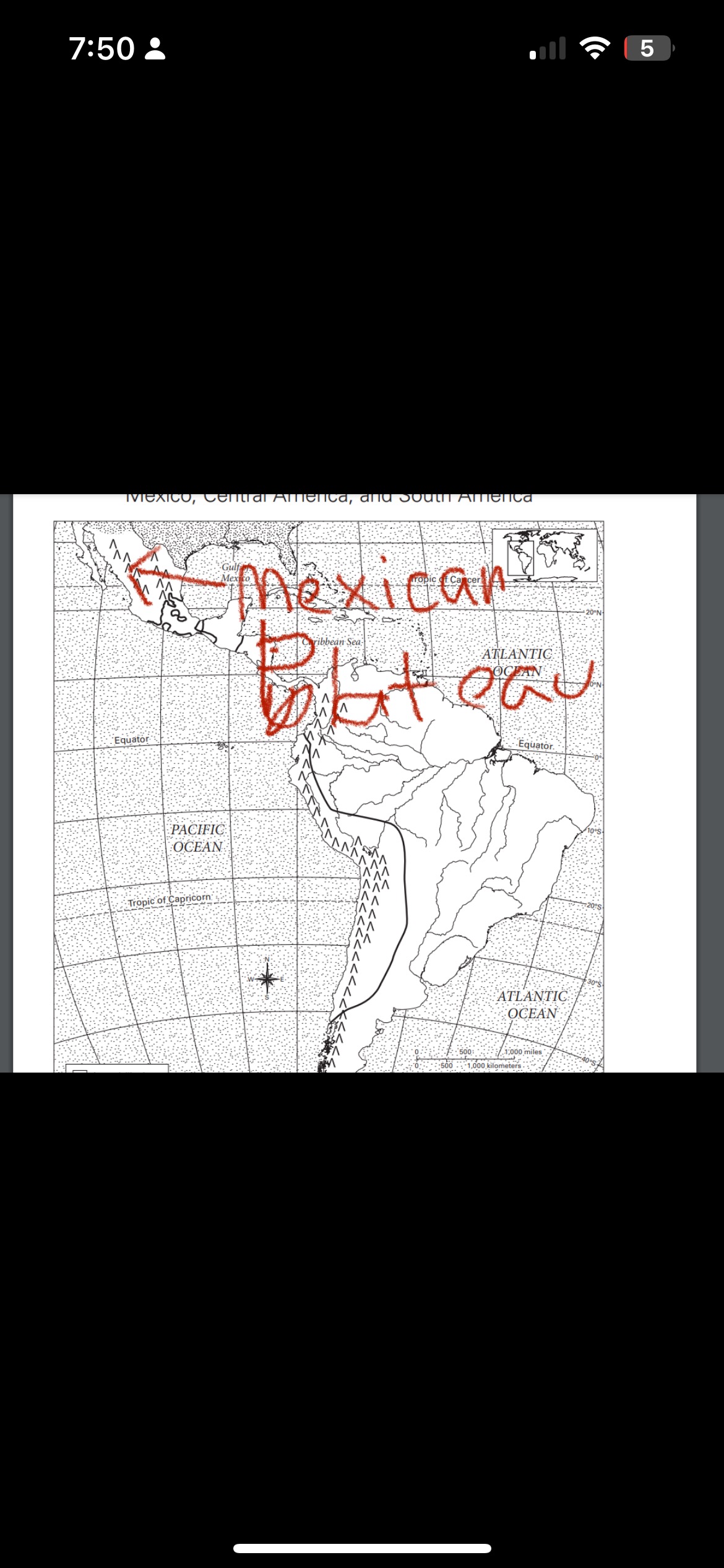 knowt flashcard image