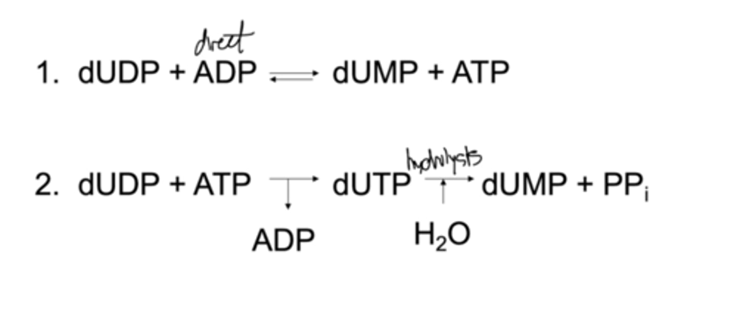 <p>direct and hydrolysis</p>