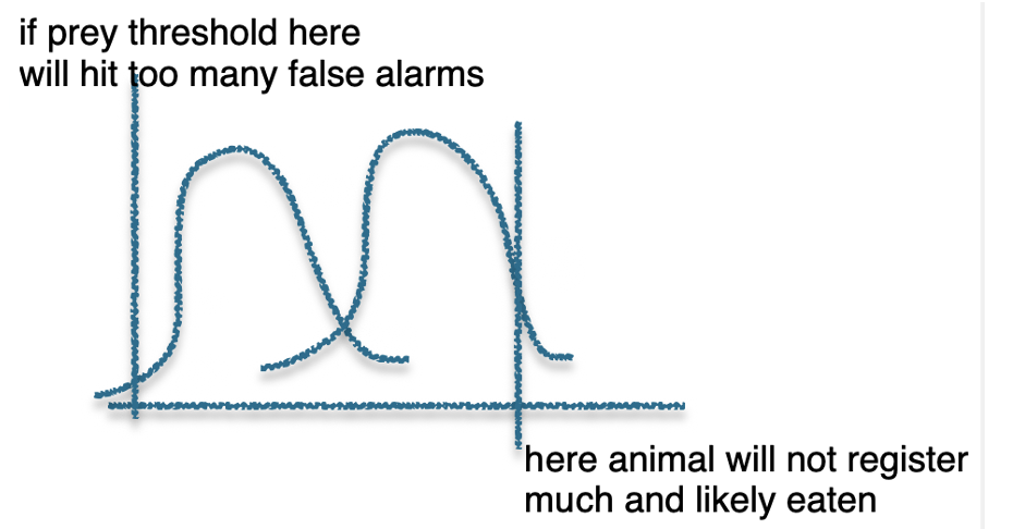<p>left one is noise, right one is signal, beta is threshold</p>