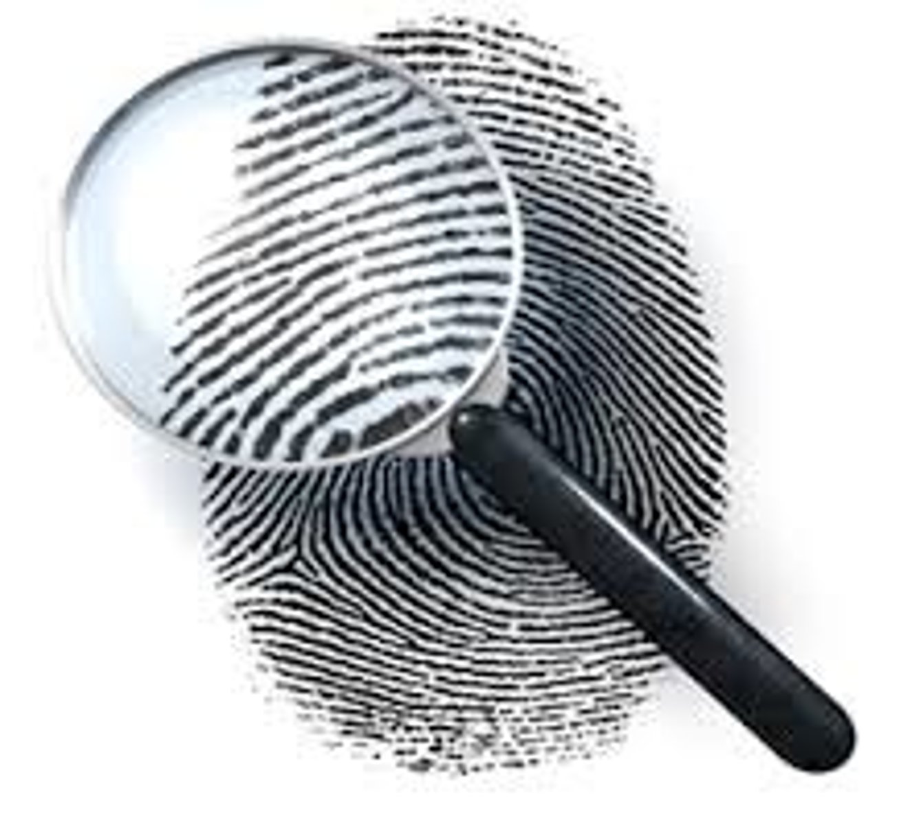 <p>signs, proof something is or is not true (bằng chứng, chứng cứ). Example: The police found enough evidence to arrest him.</p>