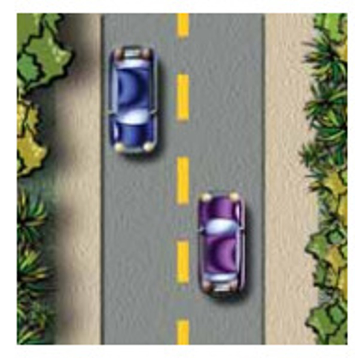 <p>One-way traffic and passing is allowed</p>