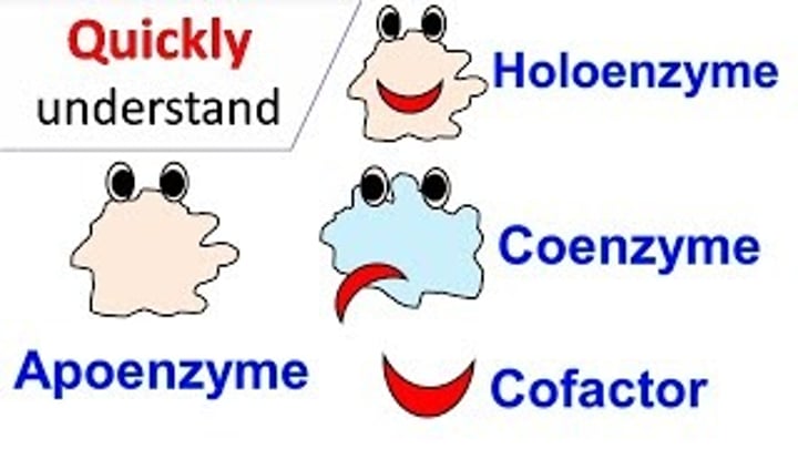 <p>c) apoenzima - co-factor - coenzima.</p><p>As enzimas são constituídas por um grupo proteico designado(a) de Apoenzima e pode ter também na sua constituição um grupo não proteico designado de co-factor. Caso o grupo não proteico seja uma molécula orgânica, trata-se de um(a) coenzima.</p>