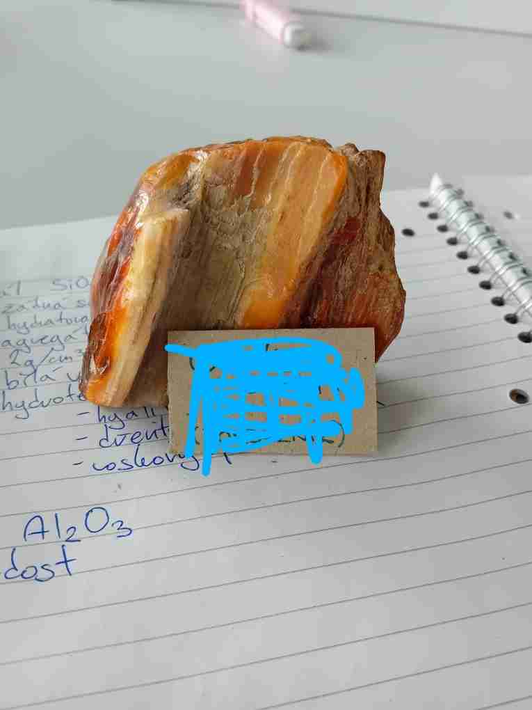 term image