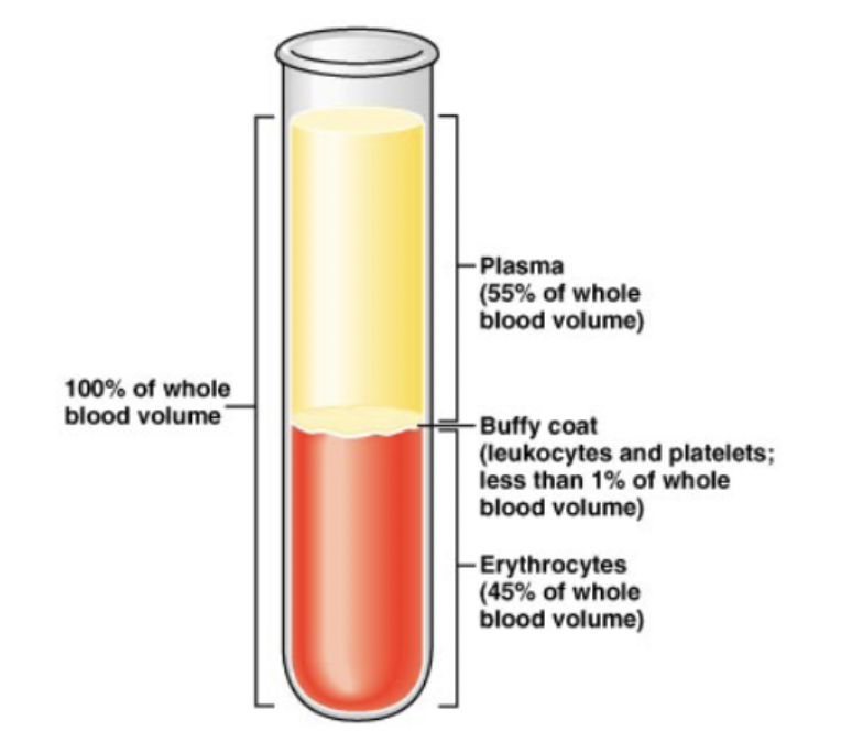 <p>fluid that is &gt;1% of blood that contains leukocytes and platelets</p><p></p>