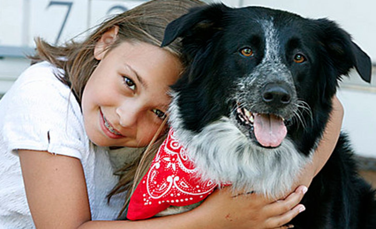 <p>he likes dogs</p>