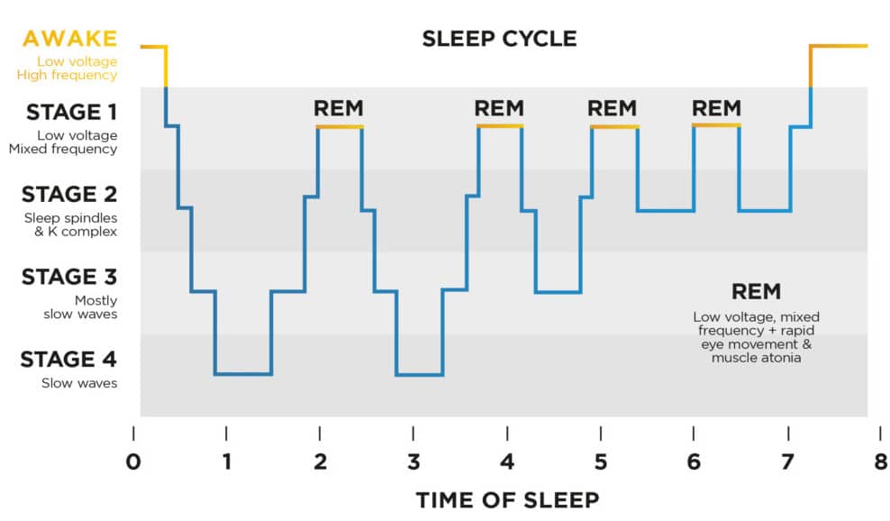<p><strong>REM sleep, paradoxical sleep </strong>→ place to escape reality</p><p><u>Characteristics</u>:</p><ul><li><p>Rapid eye movements</p></li><li><p>Dreaming</p></li><li><p>Desynchronized EEG activity (similar to beta waves)</p></li><li><p>Muscle paralysis (besides from some sleep twitches)</p></li><li><p>↑ Cerebral blood blow</p></li><li><p>↑ Oxygen consumption</p></li></ul><p></p>