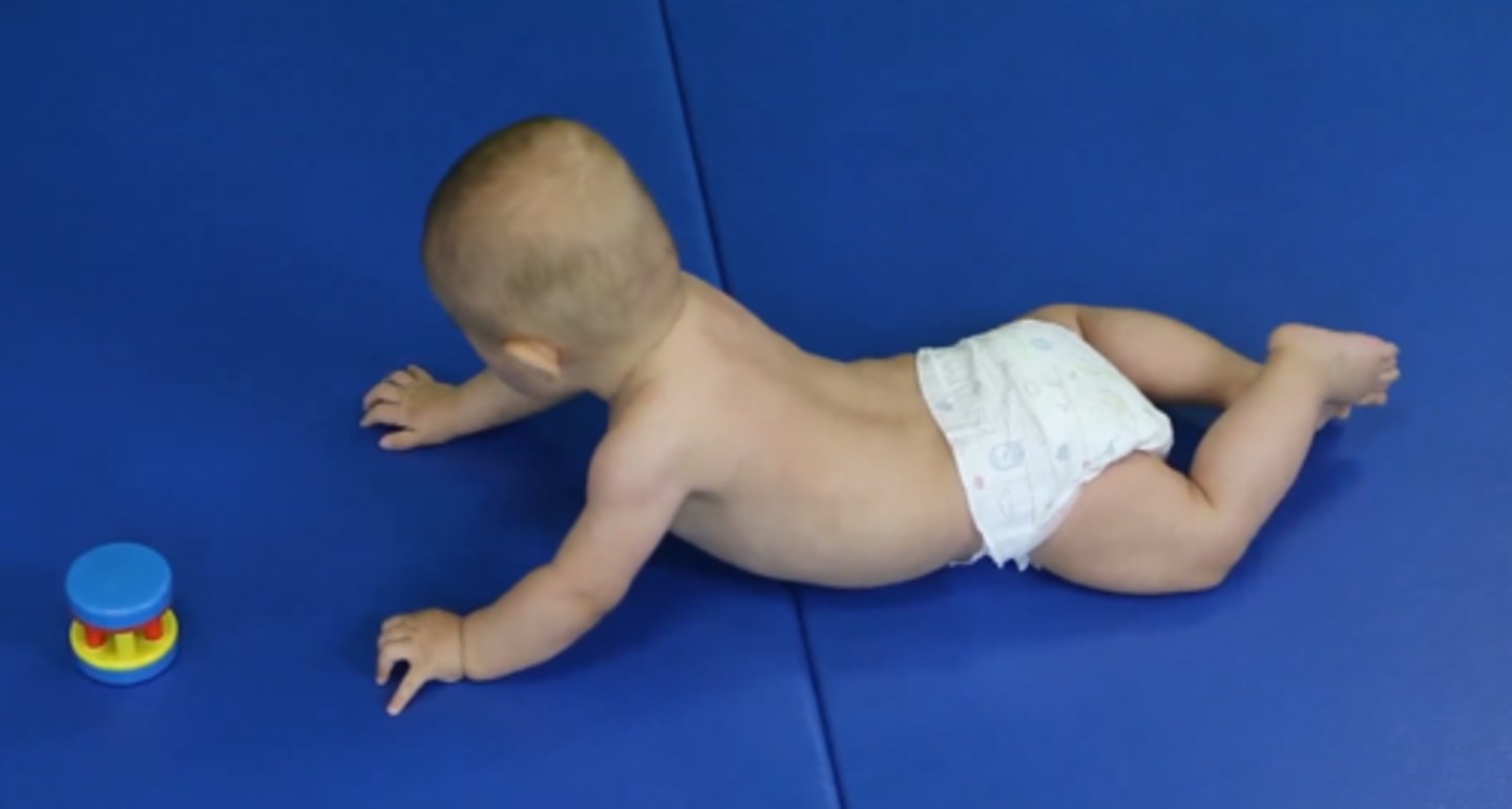 <p>1. Able to attain extended arms support</p><p>2. Shows "swimming" posture</p><p>3. In forearm support, baby begins to reach out</p>