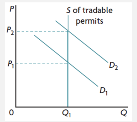 <ul><li><p>involve a system of permits to pollute issued to firms by the government </p></li><li><p> permits can be traded in a market, so firms that can produce using less of the permits, can sell them for a profit </p></li><li><p>supply of permits is perfectly inelastic and is set at a level lower than what would be the level of pollution without the permits </p></li><li><p><span>As the economy grows, the number of permits demanded increases, increasing their price</span></p></li></ul>