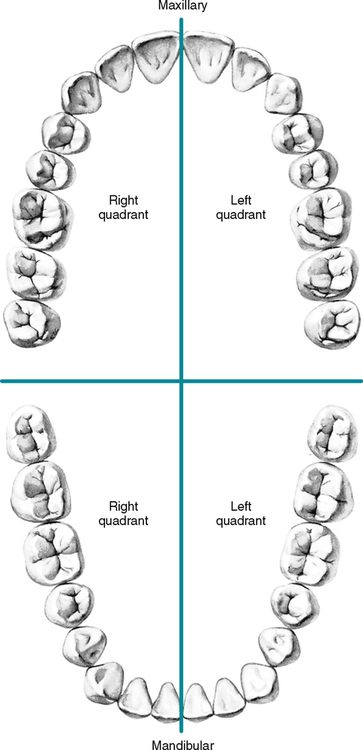 <p>8</p>