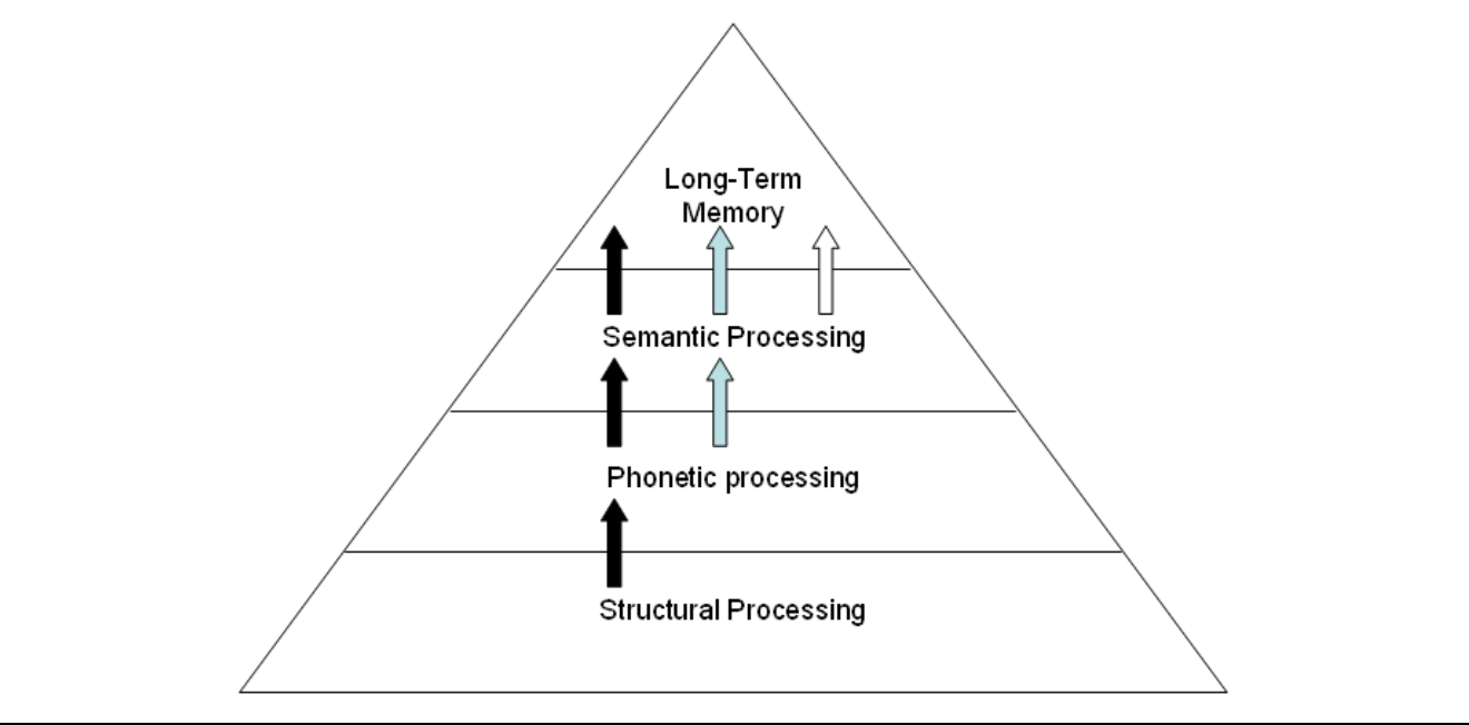 <ul><li><p>involves paying attention to what the words look like </p></li><li><p>shallow level of processing </p></li></ul>