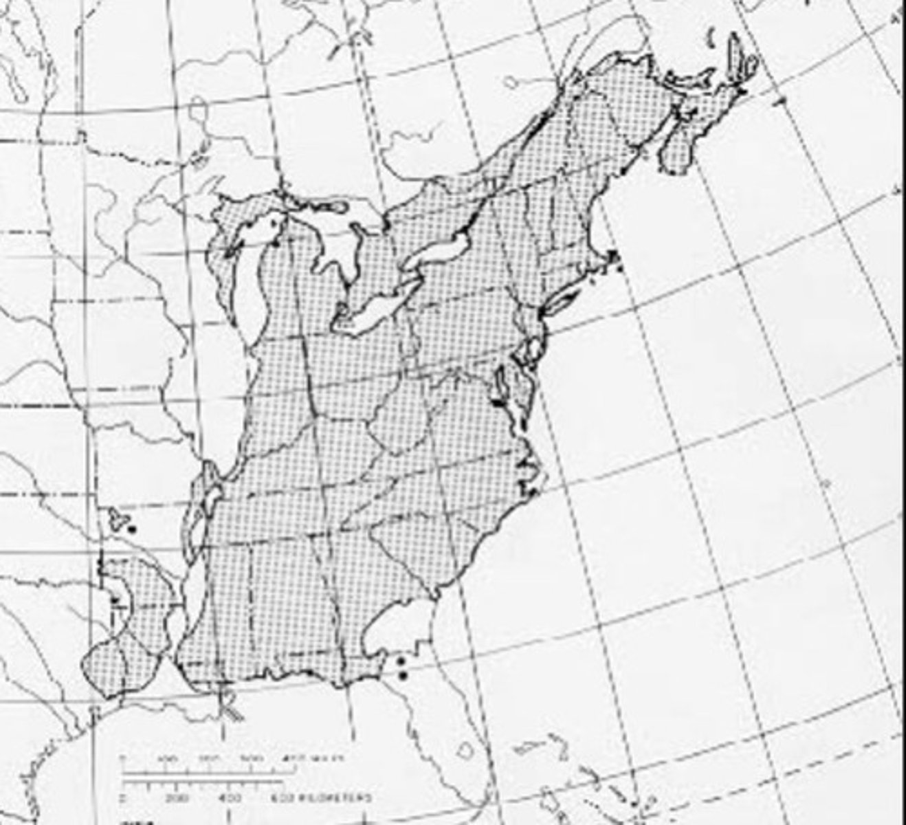 <p>what species is this?</p>