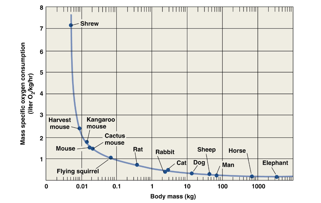<p>explain this graph </p>