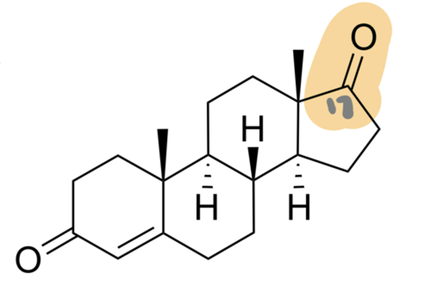 <p>What is this AR agonist?</p>