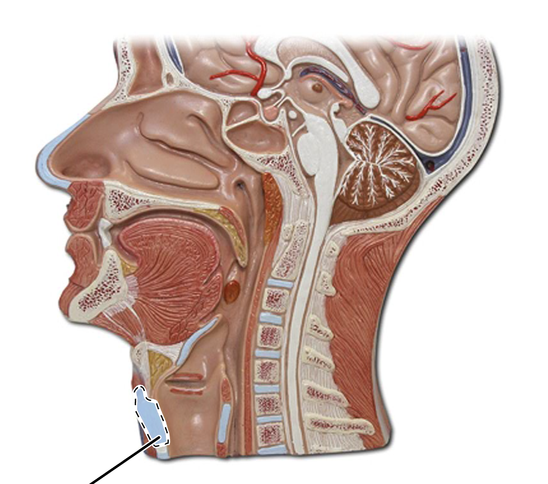 <p>What is this?</p>