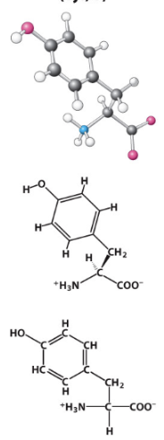 <p>Polar uncharged R-group. </p>