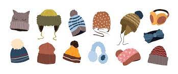 <p>a beanie</p>