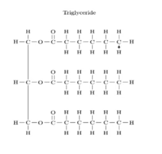 <ul><li><p>straight</p></li><li><p>single bonds</p></li><li><p>solid at room temperature</p></li></ul><p></p>