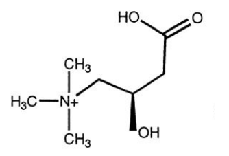 <p>Carnitine</p>